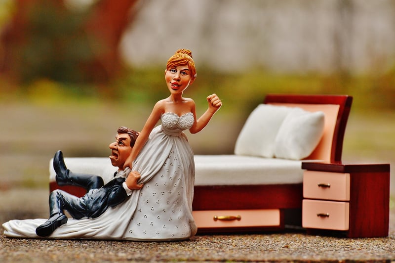 Bride and groom in a meadow