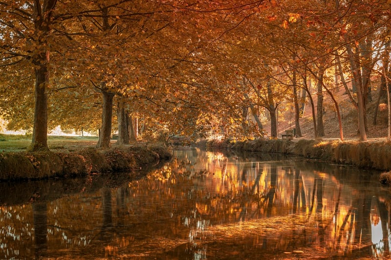 Riverside Setting
